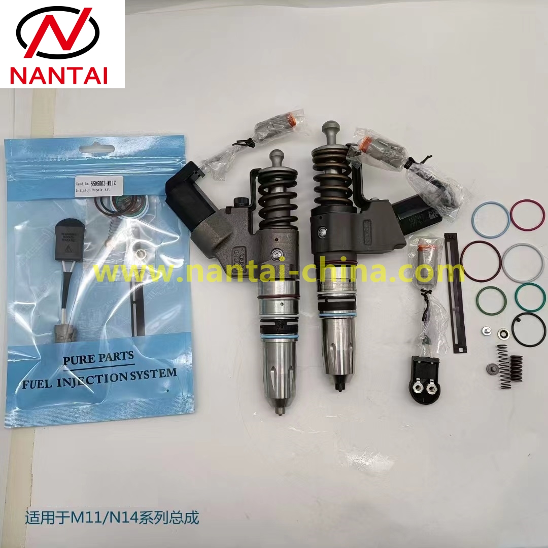 CUMMINS Repair kits for M11, N14 ( C type)